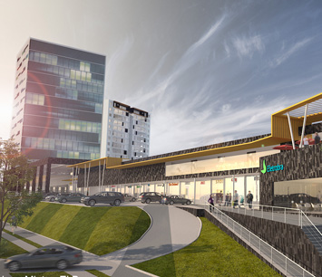 Imagen miniatura del proyecto El Bosque 2